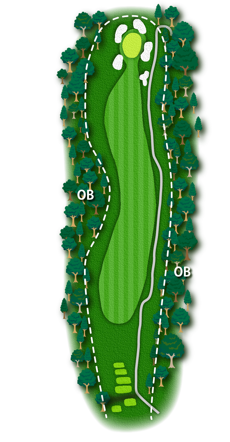 HOLE NO.3