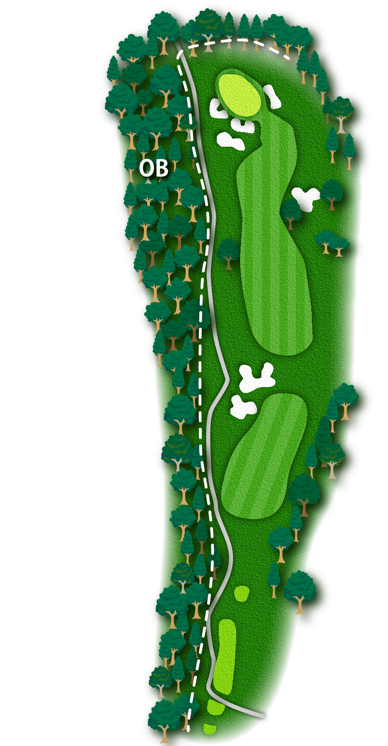 HOLE NO.11