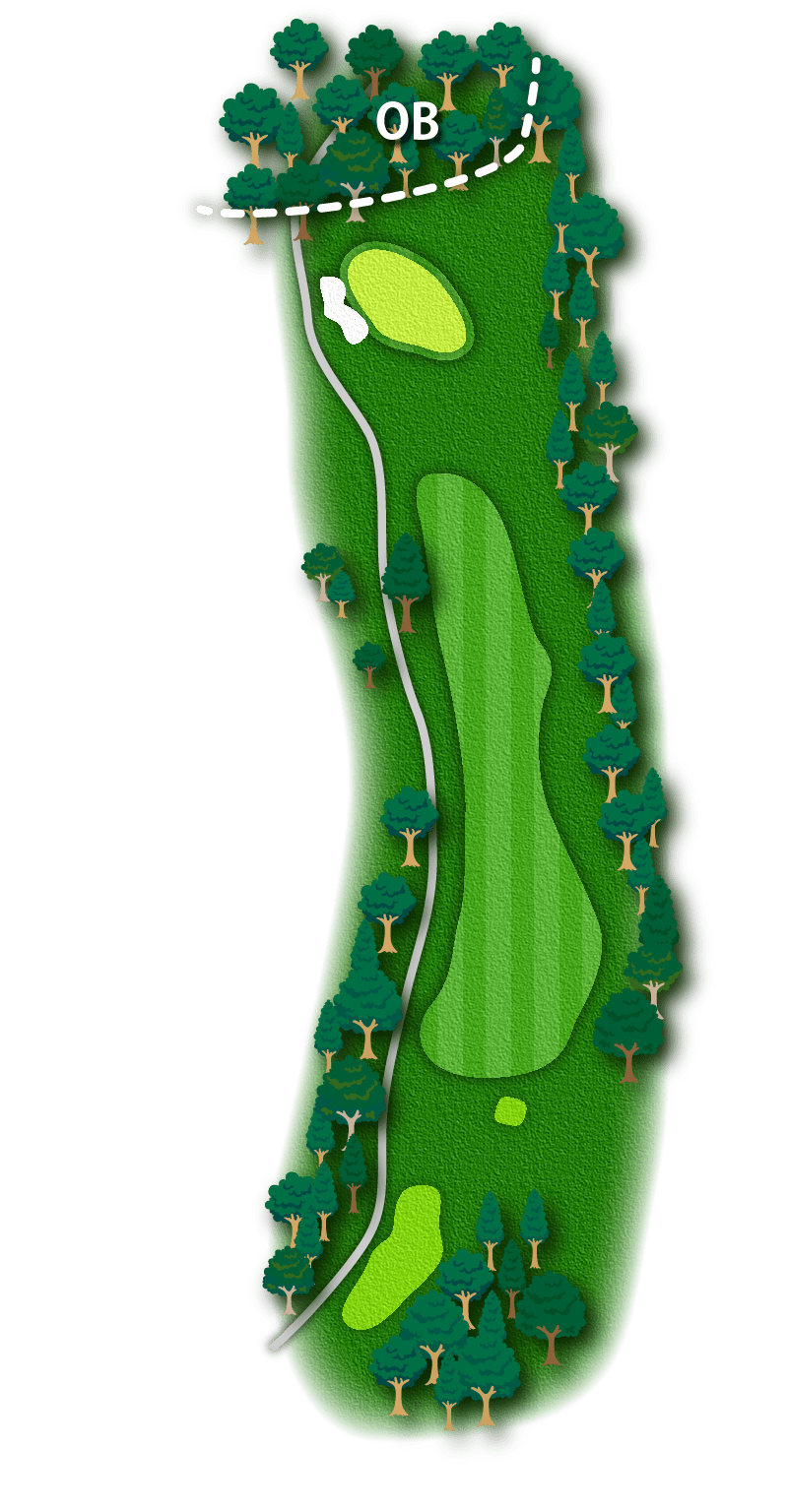 HOLE NO.17